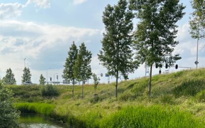 Motie – Verkeersveiligheid kruispunten N322 bij Zaltbommel